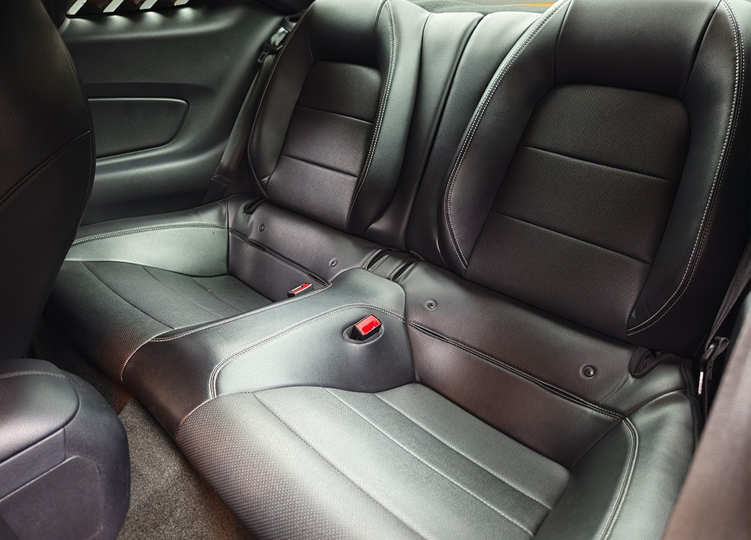 WhatsApp Image 2025-08-20 at 09.14.02 (1)