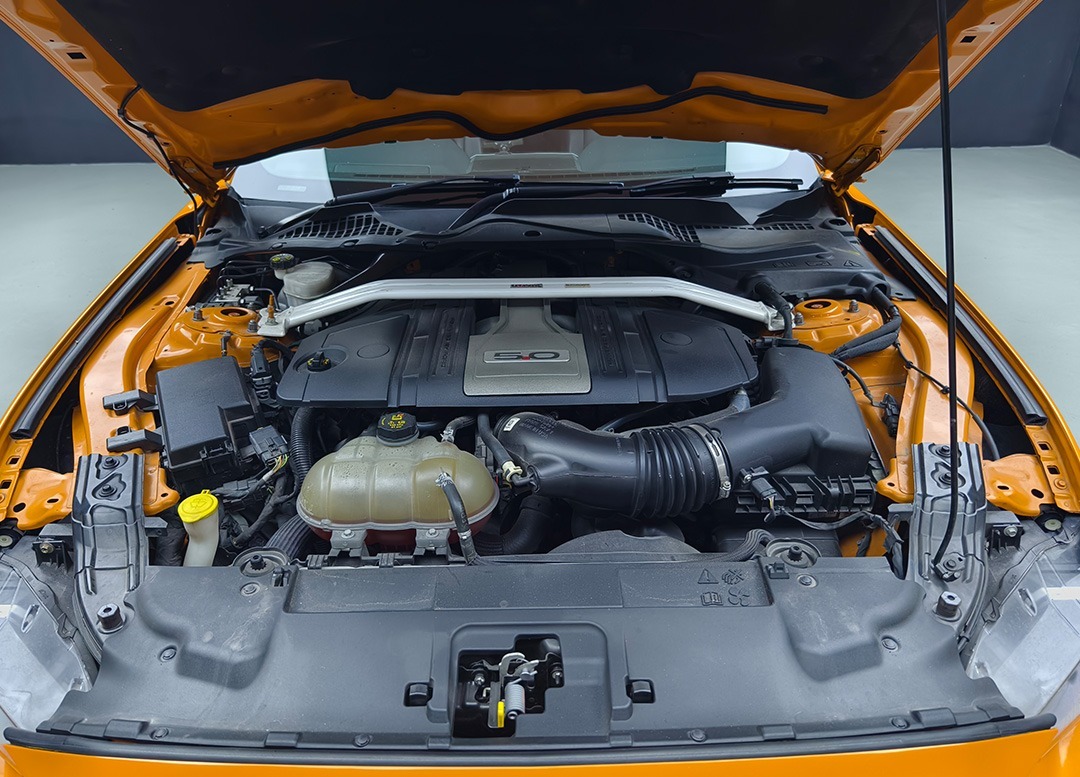 WhatsApp Image 2025-08-20 at 09.14.02 (2)