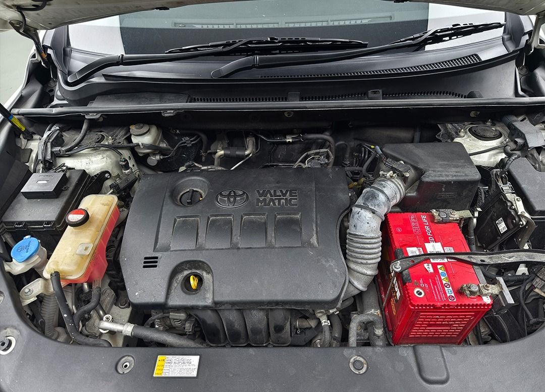 WhatsApp Image 2025-08-26 at 14.35.25 (1)