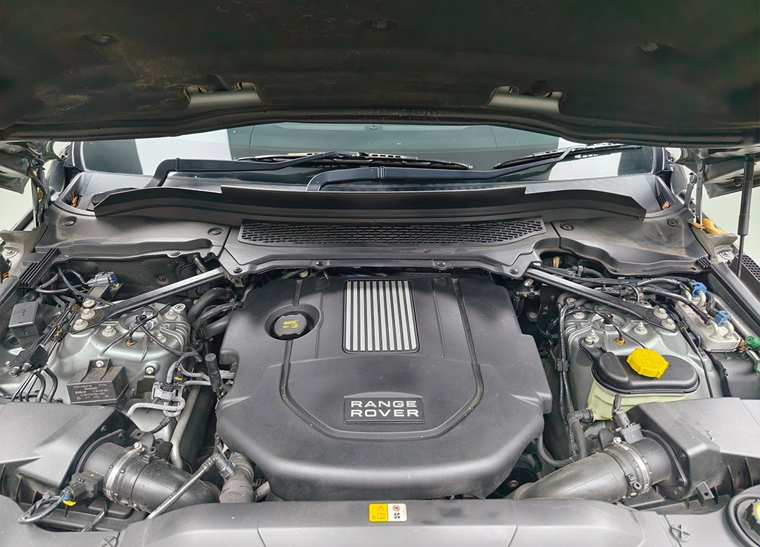 WhatsApp Image 2025-08-28 at 16.51.40