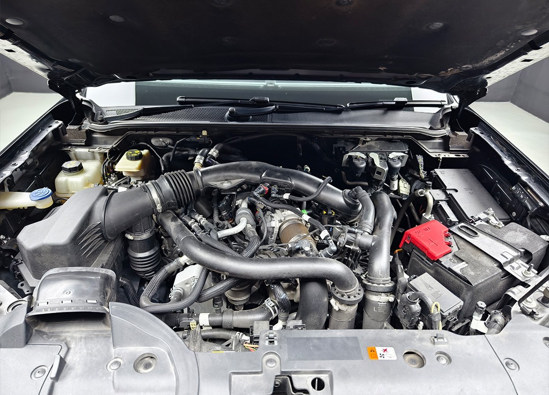 WhatsApp Image 2025-09-09 at 16.19.26