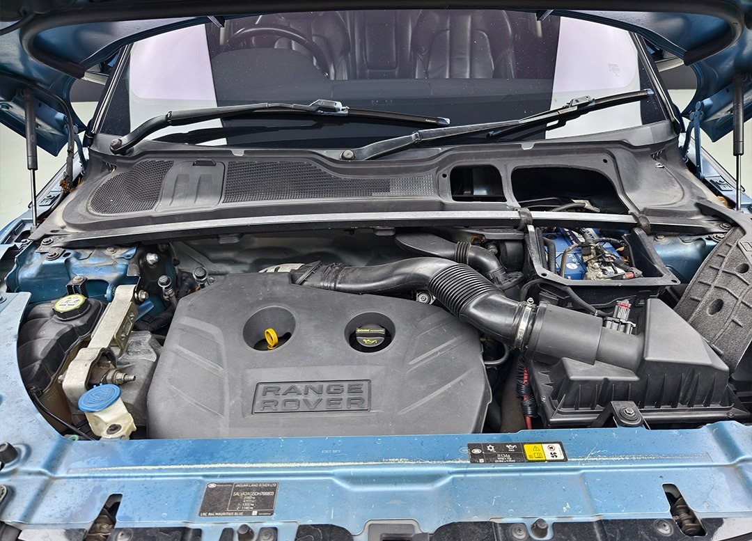 WhatsApp Image 2025-09-22 at 10.18.15 (2)