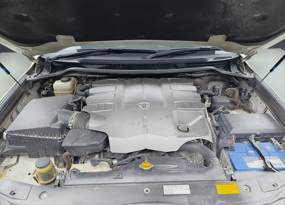 WhatsApp Image 2025-09-25 at 15.30.12 (1)