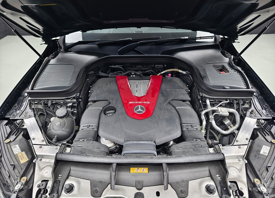 WhatsApp Image 2025-10-01 at 00.32.21 (1)