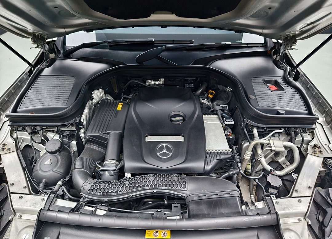 WhatsApp Image 2025-10-23 at 13.34.55