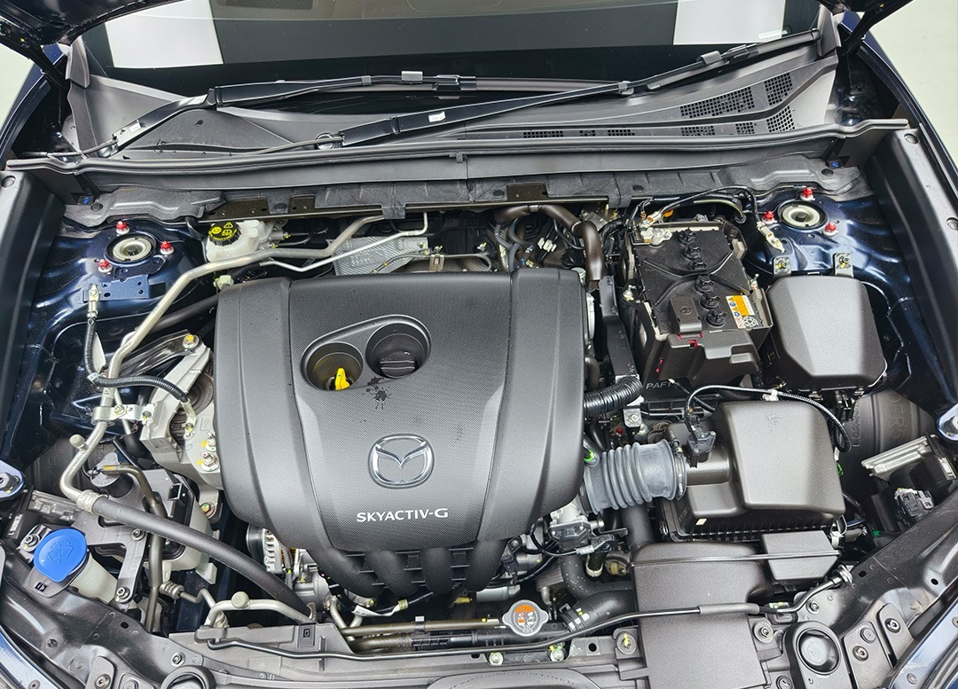 WhatsApp Image 2025-10-23 at 13.20.03 (2)