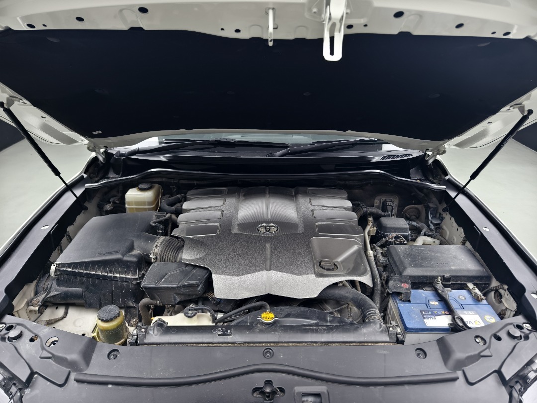 WhatsApp Image 2025-10-26 at 18.50.39