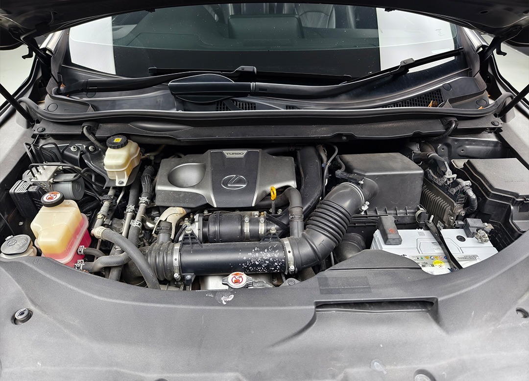 WhatsApp Image 2025-10-31 at 09.46.54 (2)