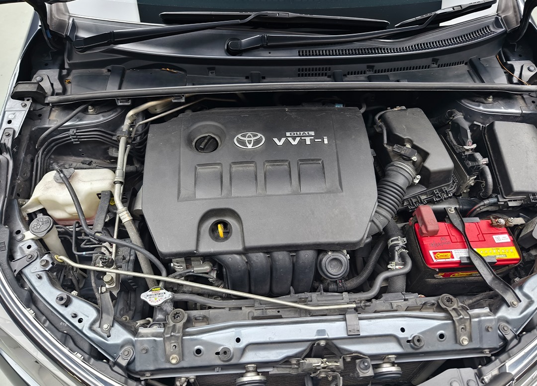 WhatsApp Image 2025-11-04 at 09.56.55 (2)