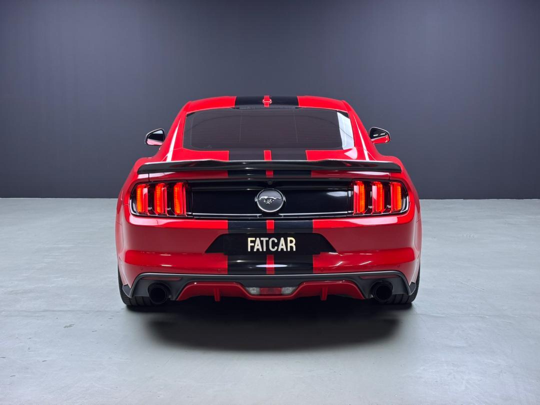 WhatsApp Image 2025-11-05 at 15.39.45