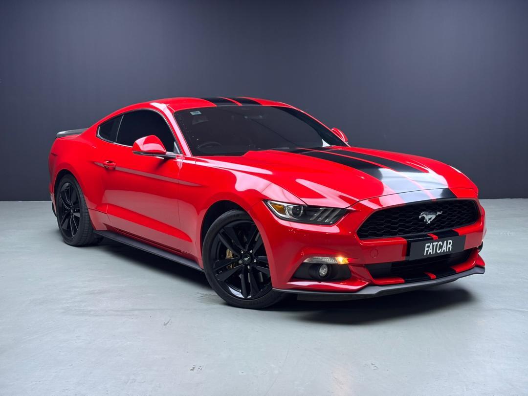 WhatsApp Image 2025-11-05 at 15.39.46 (1)