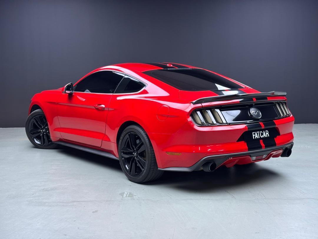 WhatsApp Image 2025-11-05 at 15.39.45 (1)