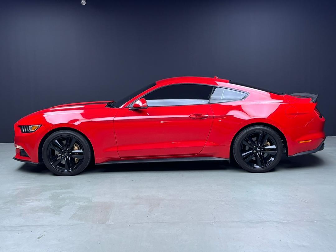 WhatsApp Image 2025-11-05 at 15.39.46 (3)