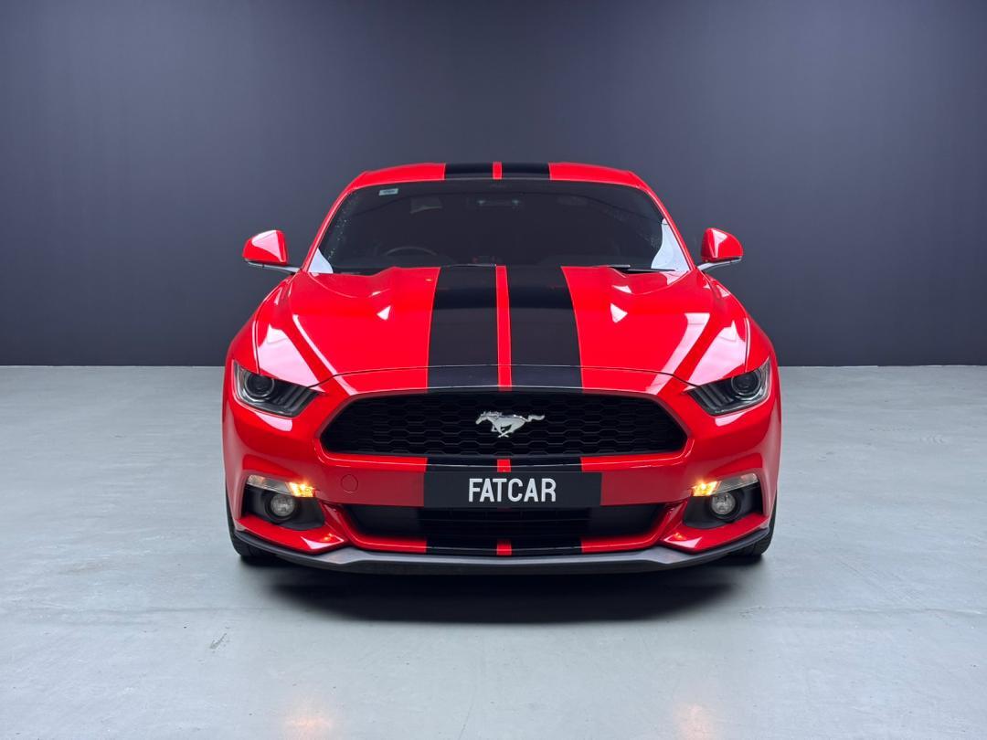 WhatsApp Image 2025-11-05 at 15.39.46