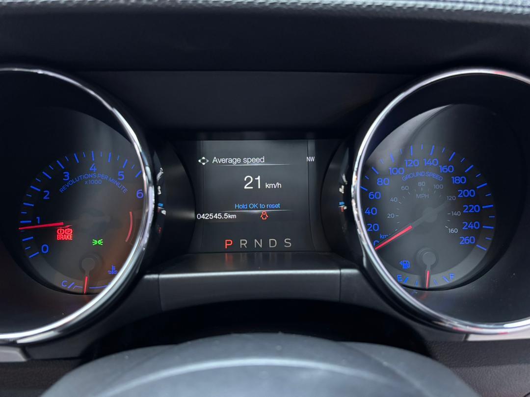 WhatsApp Image 2025-11-05 at 15.39.49 (1)