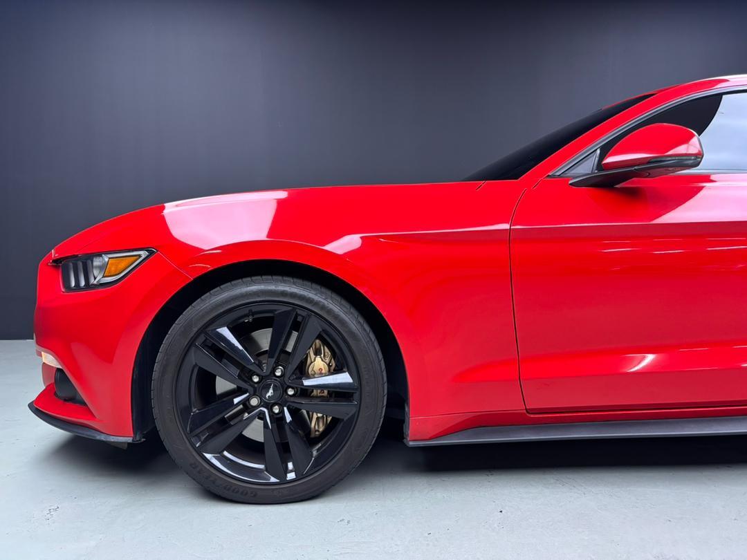 WhatsApp Image 2025-11-05 at 15.39.47