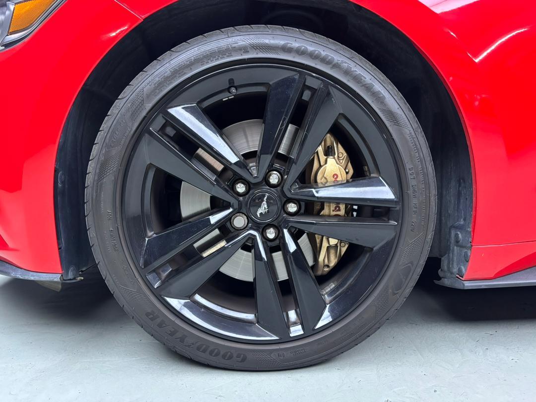 WhatsApp Image 2025-11-05 at 15.39.47 (1)