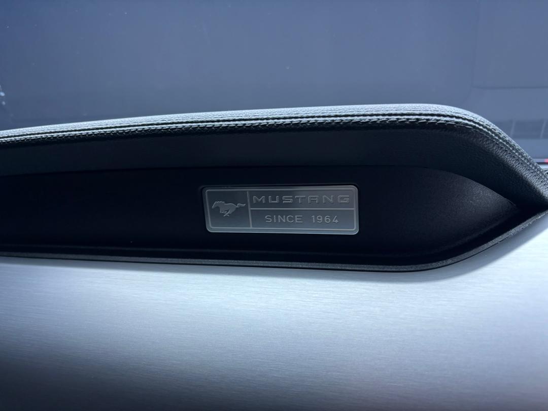 WhatsApp Image 2025-11-05 at 15.39.51