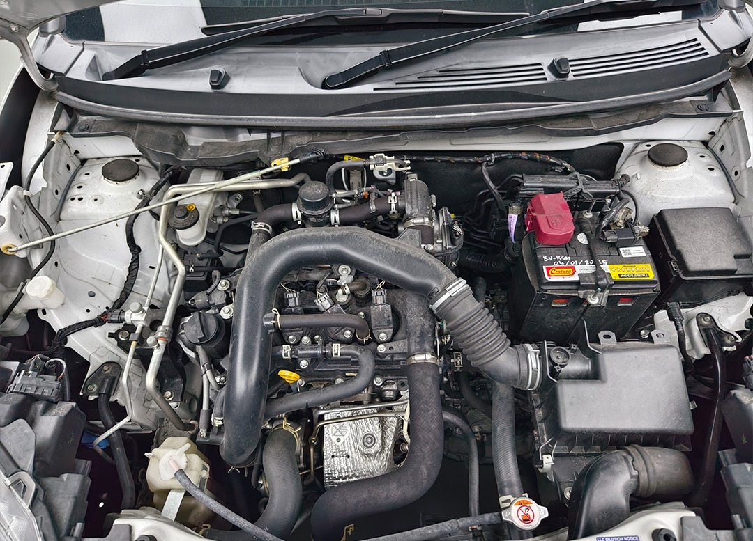 WhatsApp Image 2025-11-07 at 11.56.13 (1)