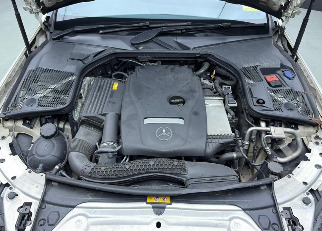 WhatsApp Image 2025-11-07 at 11.54.05 (1)