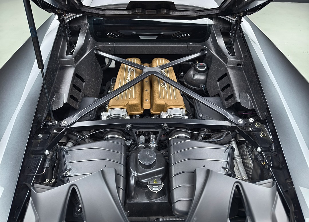 WhatsApp Image 2025-11-07 at 11.47.30