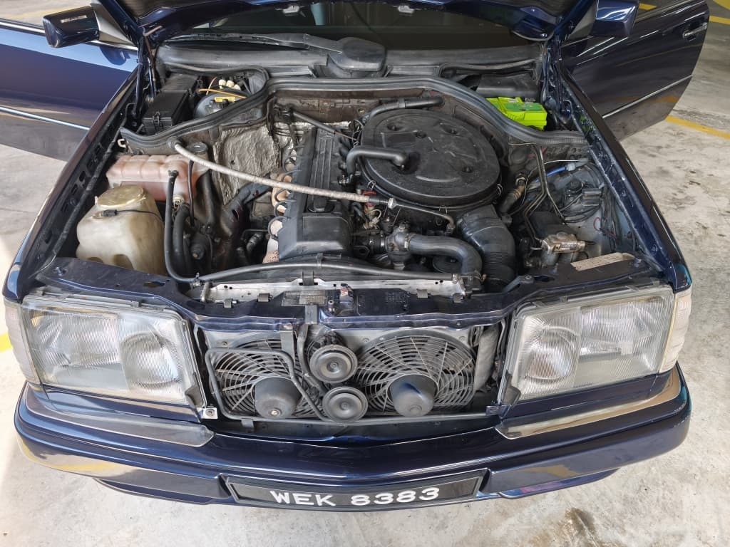 WhatsApp Image 2025-12-12 at 15.17.06 (1)