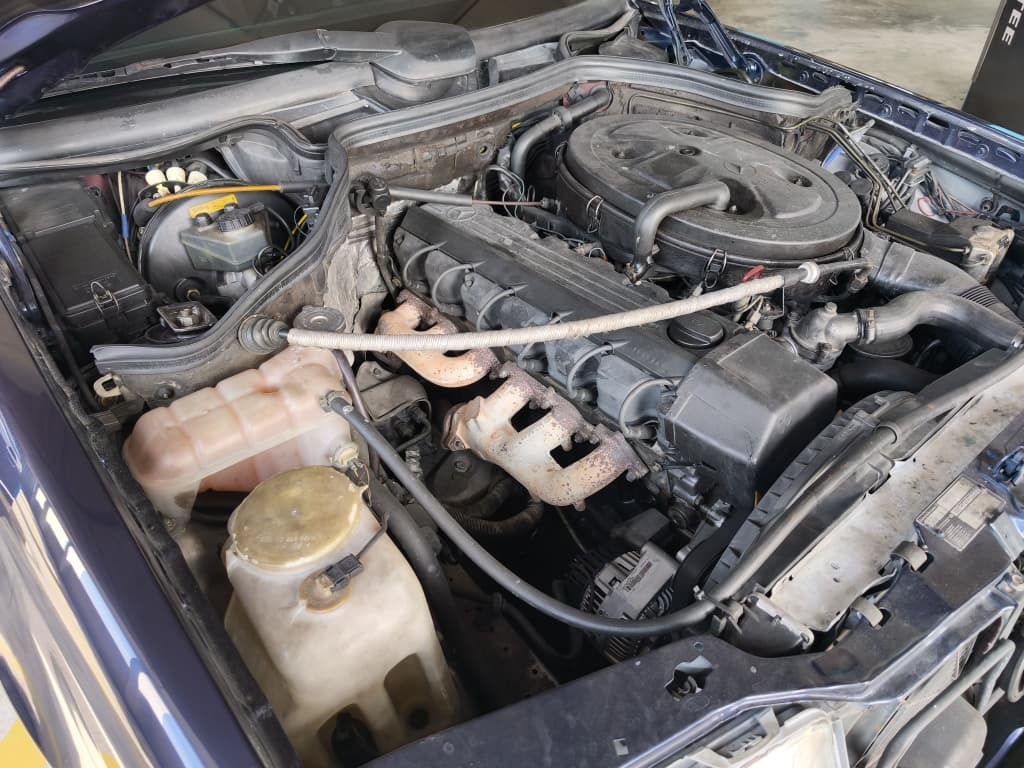 WhatsApp Image 2025-12-12 at 15.17.05