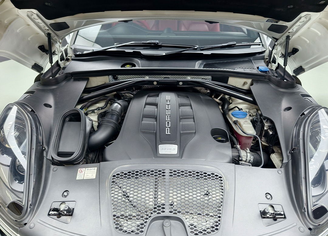 WhatsApp Image 2026-01-13 at 13.41.52