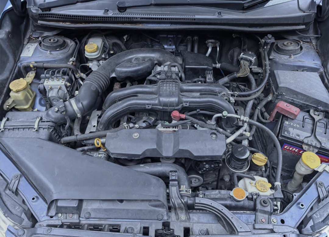 WhatsApp Image 2026-01-16 at 10.48.34