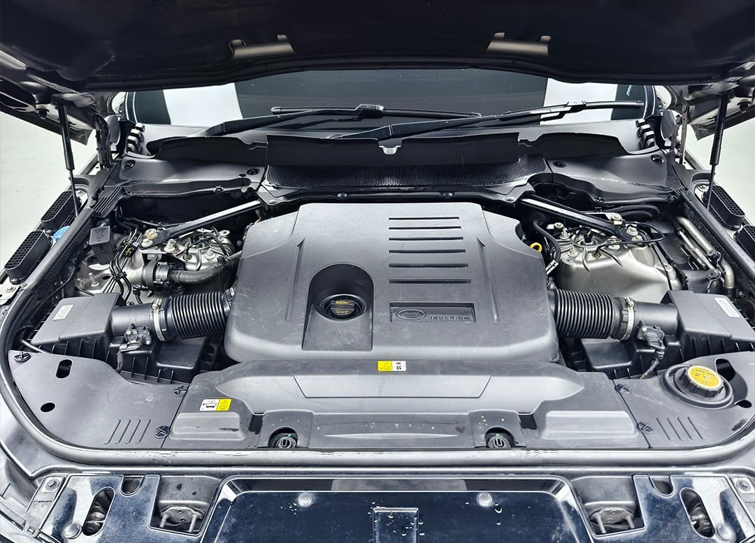 WhatsApp Image 2026-01-31 at 11.49.16 (1)