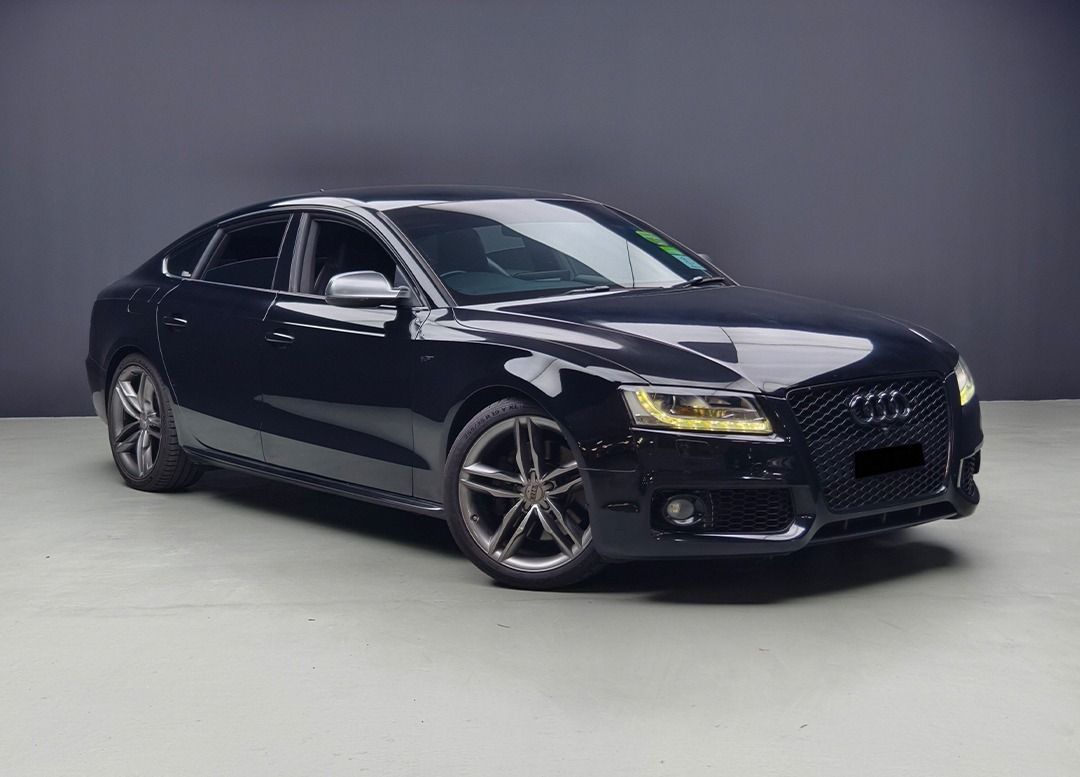 WhatsApp Image 2026-01-31 at 11.48.31