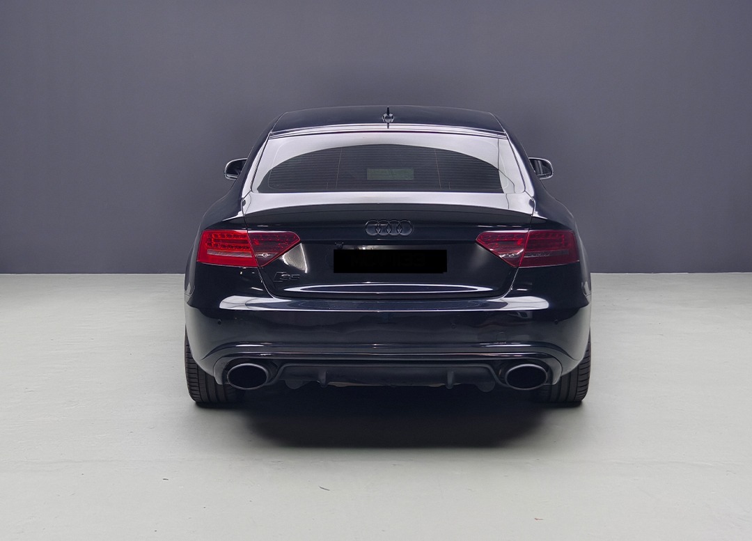 WhatsApp Image 2026-01-31 at 11.48.34