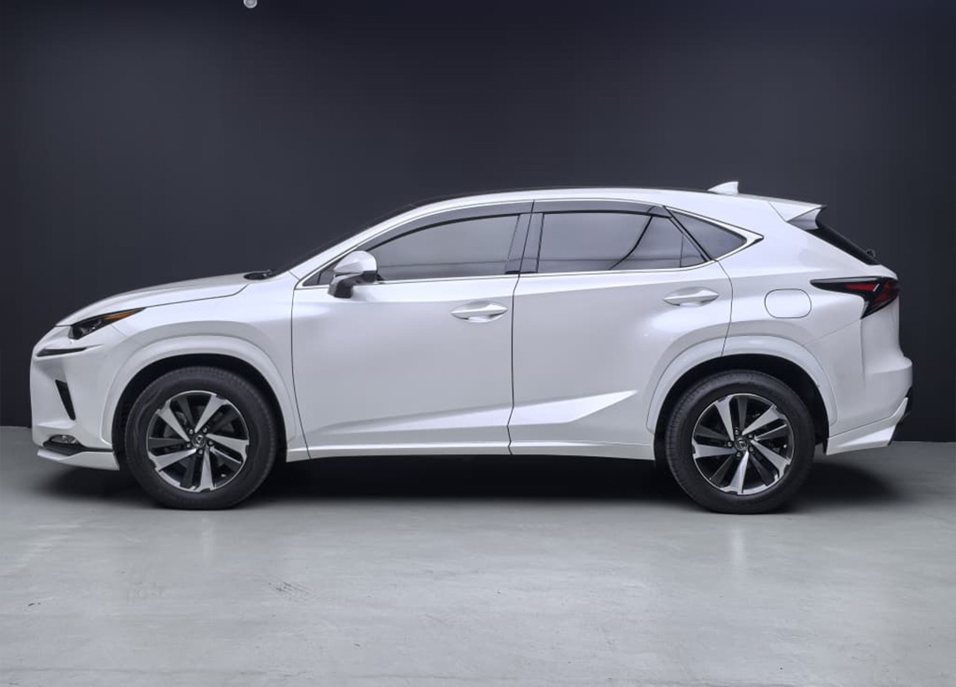 WhatsApp Image 2026-02-04 at 17.17.19