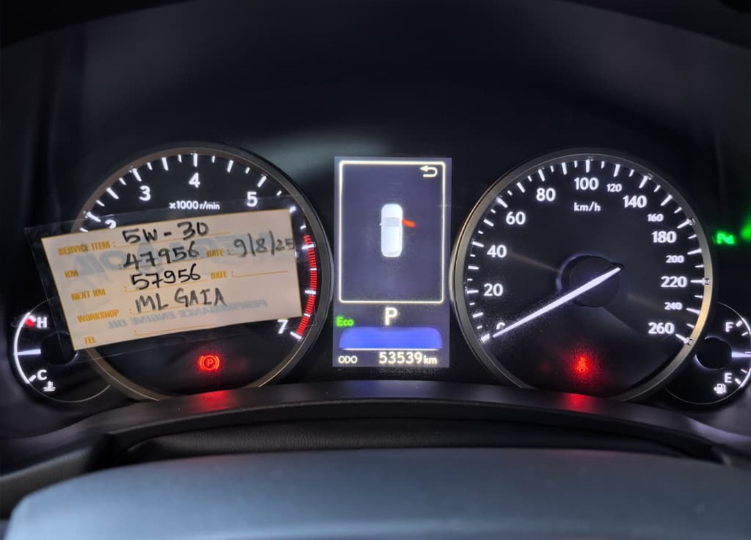 WhatsApp Image 2026-02-04 at 17.17.21 (2)