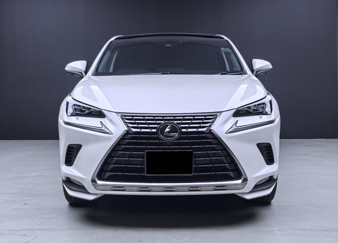 WhatsApp Image 2026-02-04 at 17.17.18 (1)