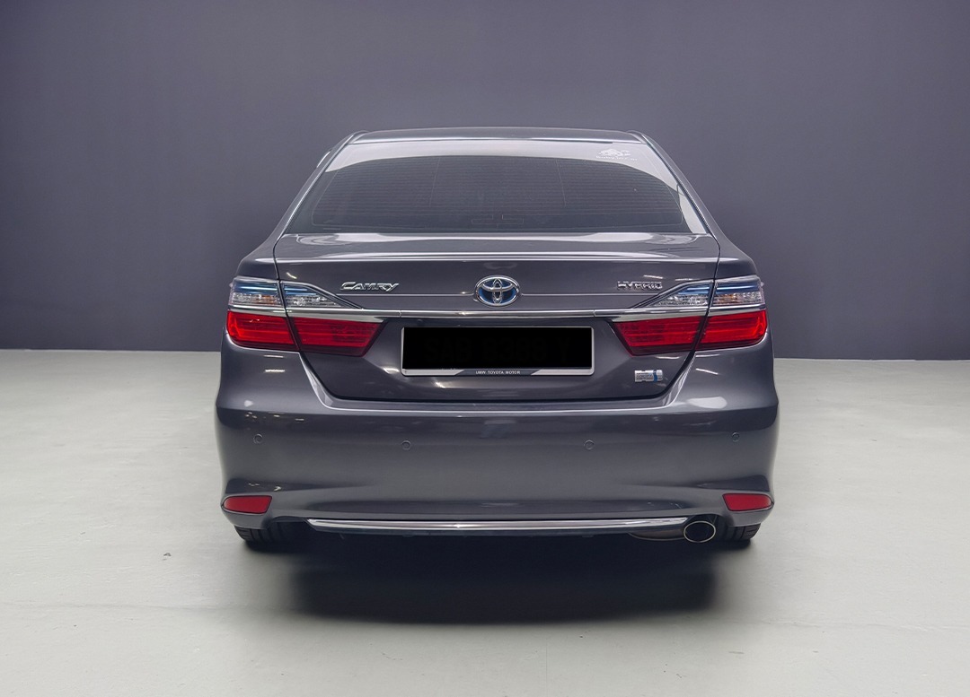 WhatsApp Image 2026-02-13 at 08.52.01