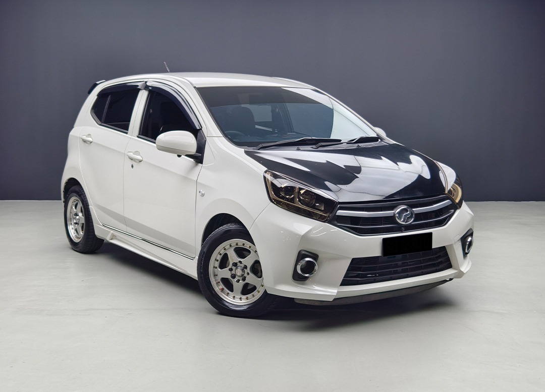 WhatsApp Image 2026-02-16 at 12.59.28