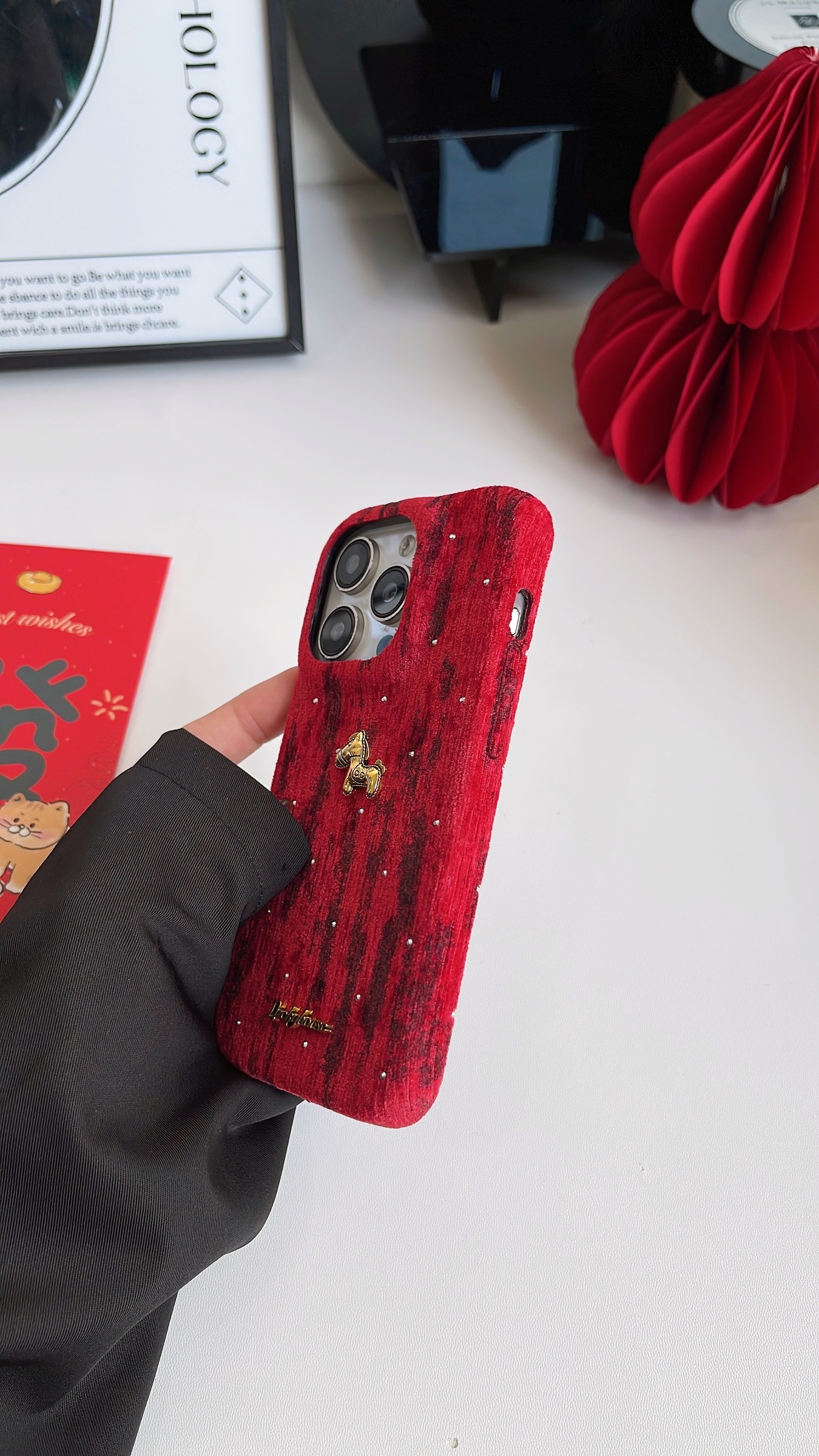 image_0CC69151-D489-4A59-B0A8-32A1AD03EFB6_1769527402