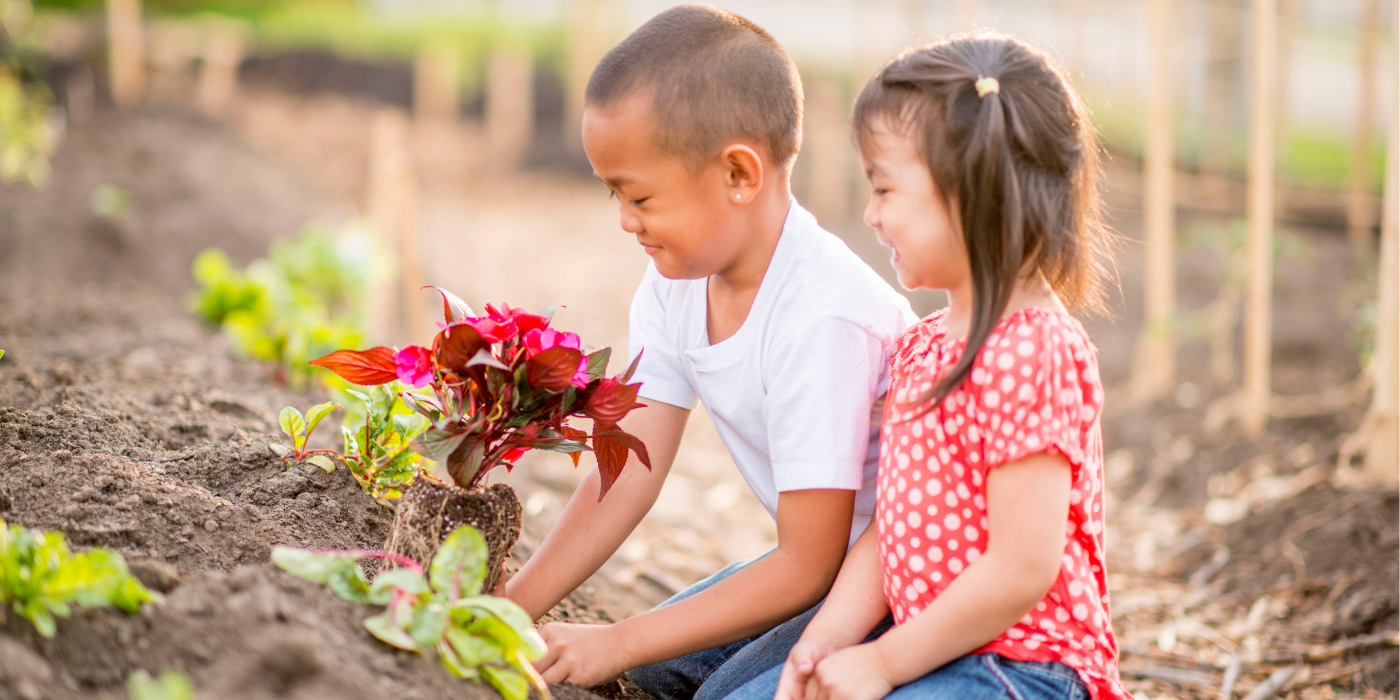 GardenShop2u | NEW HOBBY