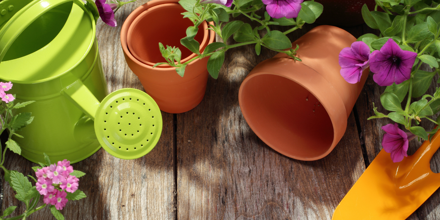 GardenShop2u | NEW SALE