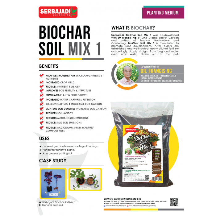 infographic%20biochar%20soil%20mix%201-01-700x700