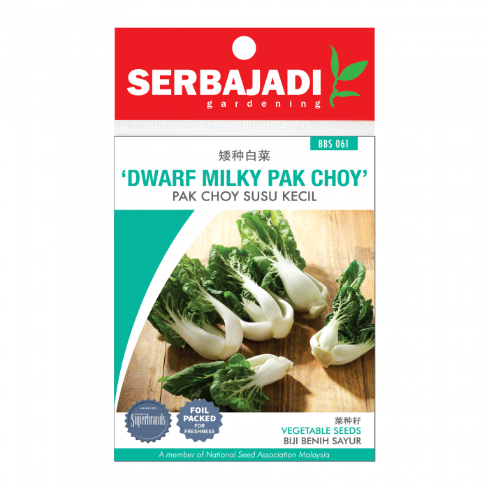 baja%20serbajadi%2061-700x700