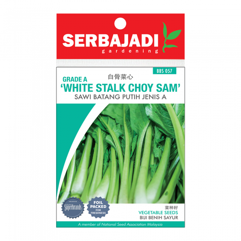 white%20stalk%20choy%20sam%20bbs%20057%20(front)-700x700