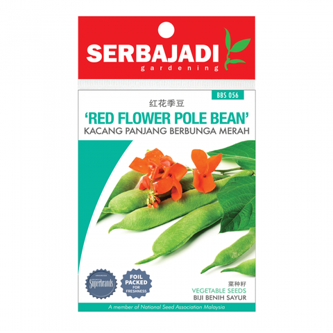 red%20flower%20pole%20bean-bbs%2056%20(front)-700x700
