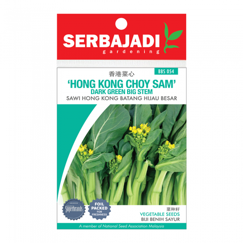 hong%20kong%20choy%20sam-54%20(front)-700x700