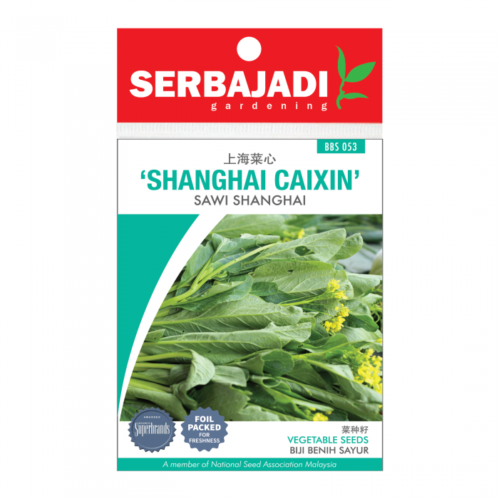shanghai%20cai%20xin-53%20(front)-700x700