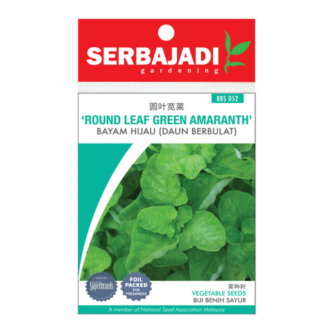 round%20leaf%20green%20amaranth%20(front)-700x700