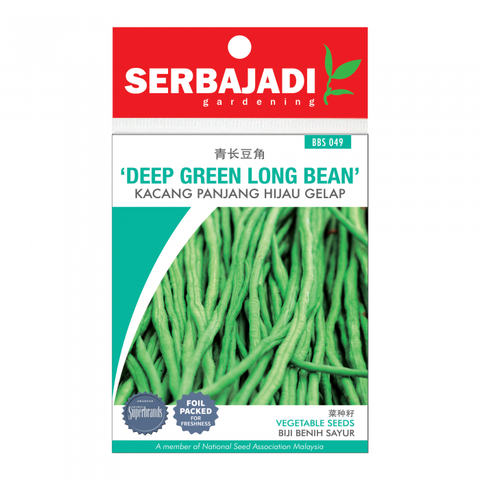 deep%20green%20long%20bean-49%20(front)-700x700