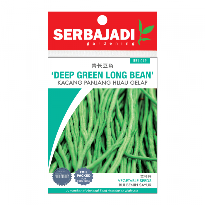 deep%20green%20long%20bean-49%20(front)-700x700