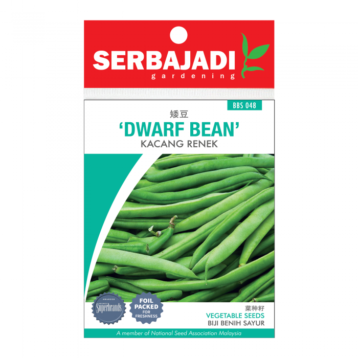 dwarf%20bean-48%20(front)-700x700